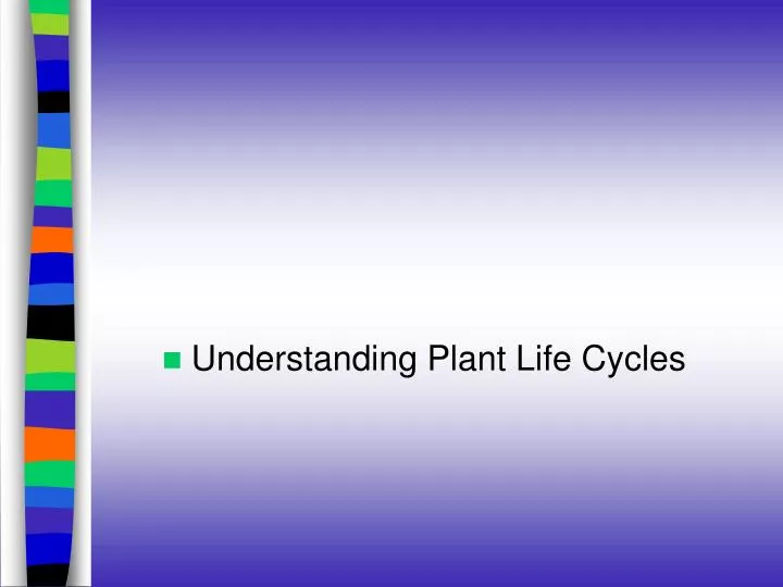 annual plant life cycle diagram