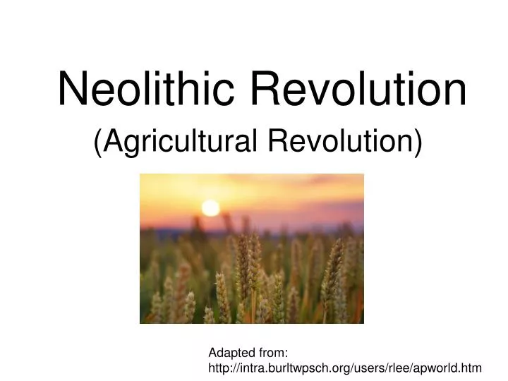 neolithic revolution