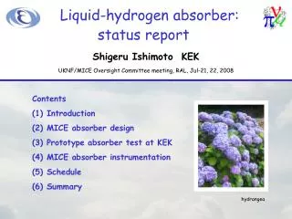 Liquid-hydrogen absorber: