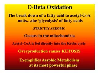 D- Beta Oxidation