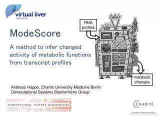 ModeScore A method to infer changed activity of metabolic functions from transcript profiles