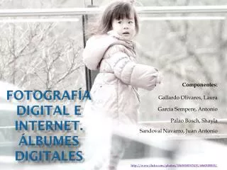 FOTOGRAFÍA DIGITAL E INTERNET. ÁLBUMES DIGITALES