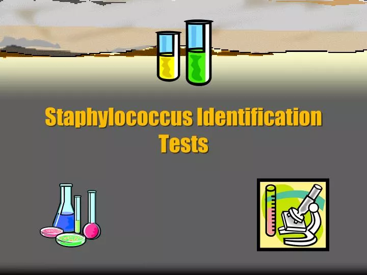 staphylococcus identification tests