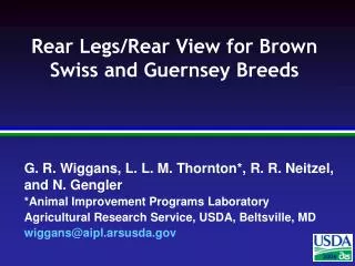 Rear Legs/Rear View for Brown Swiss and Guernsey Breeds