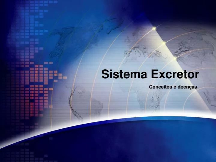 sistema excretor