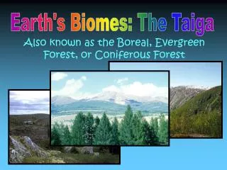 Earth's Biomes: The Taiga