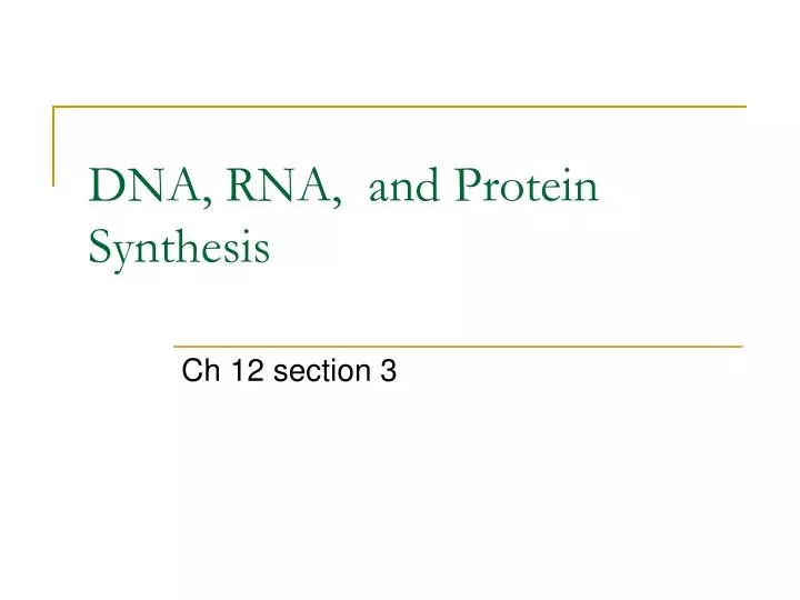 dna rna and protein synthesis