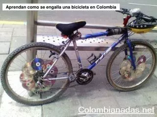 Aprendan como se engalla una bicicleta en Colombia