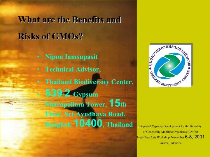 what are the benefits and risks of gmos