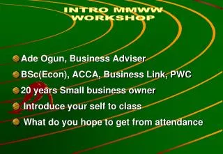 Ade Ogun, Business Adviser BSc(Econ), ACCA, Business Link, PWC 20 years Small business owner
