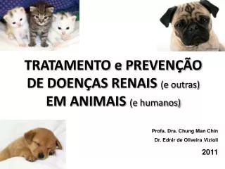 TRATAMENTO e PREVENÇÃO DE DOENÇAS RENAIS (e outras) EM ANIMAIS (e humanos)
