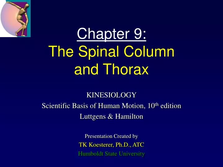 chapter 9 the spinal column and thorax