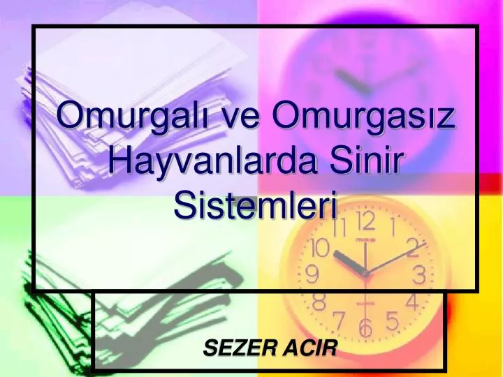 omurgal ve omurgas z hayvanlarda sinir sistemleri