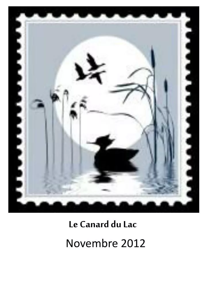 le canard du lac