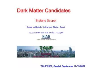 Dark Matter Candidates