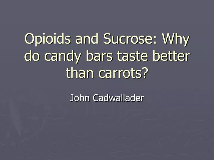 opioids and sucrose why do candy bars taste better than carrots