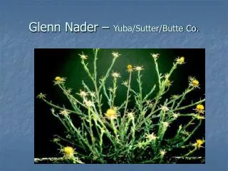 Glenn Nader – Yuba/Sutter/Butte Co.