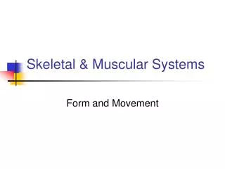 Skeletal &amp; Muscular Systems