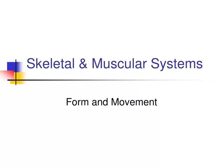 skeletal muscular systems