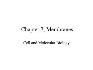 Chapter 7, Membranes