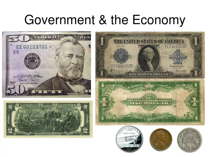 government the economy