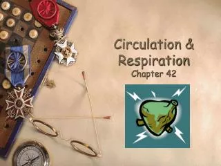 Circulation &amp; Respiration Chapter 42