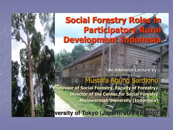 social forestry roles in participatory rural development indonesia
