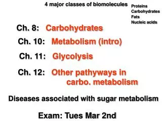 Ch. 8: Carbohydrates