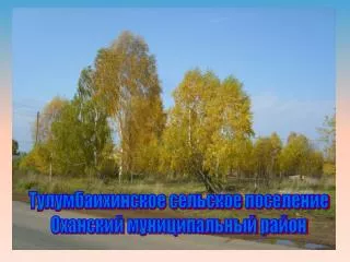 Тулумбаихинское сельское поселение Оханский муниципальный район