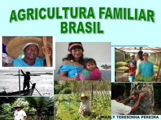 AGRICULTURA FAMILIAR BRASIL