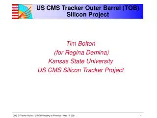US CMS Tracker Outer Barrel (TOB) Silicon Project