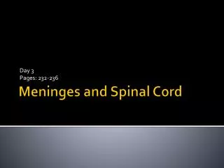 Meninges and Spinal Cord