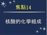 焦點 14 - slide 1
