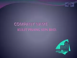 COMPANY NAME: