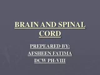 BRAIN AND SPINAL CORD