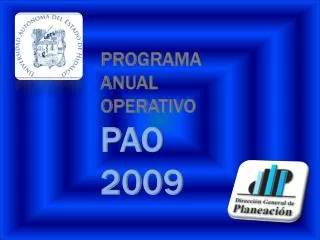 PROGRAMA ANUAL OPERATIVO PAO 2009