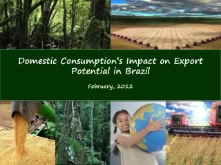 Domestic Consumption ’ s Impact on Export Potential in Brazil February, 2012