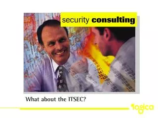 security consulting