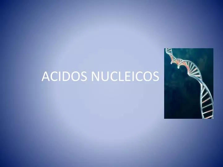 acidos nucleicos