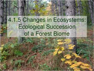 4.1.5 Changes in Ecosystems: Ecological Succession of a Forest Biome