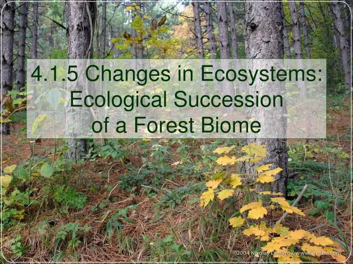 4 1 5 changes in ecosystems ecological succession of a forest biome