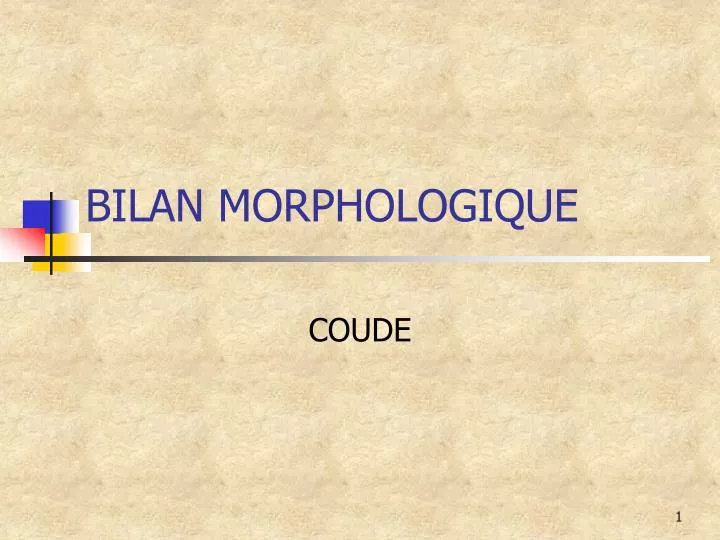 bilan morphologique