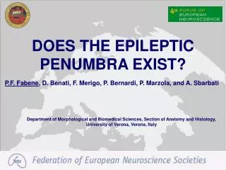 DOES THE EPILEPTIC PENUMBRA EXIST?