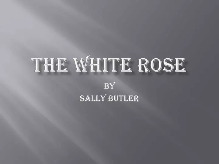 the white rose