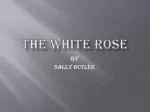 The White Rose - slide 1