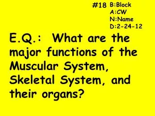 E.Q.: What are the major functions of the Muscular System, Skeletal System, and their organs?