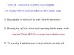 The Process of mRNA Translation: From Codon Recognition to Polypeptide Formation - slide 1