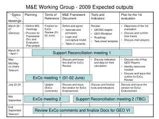 M&amp;E Working Group - 2009 Expected outputs