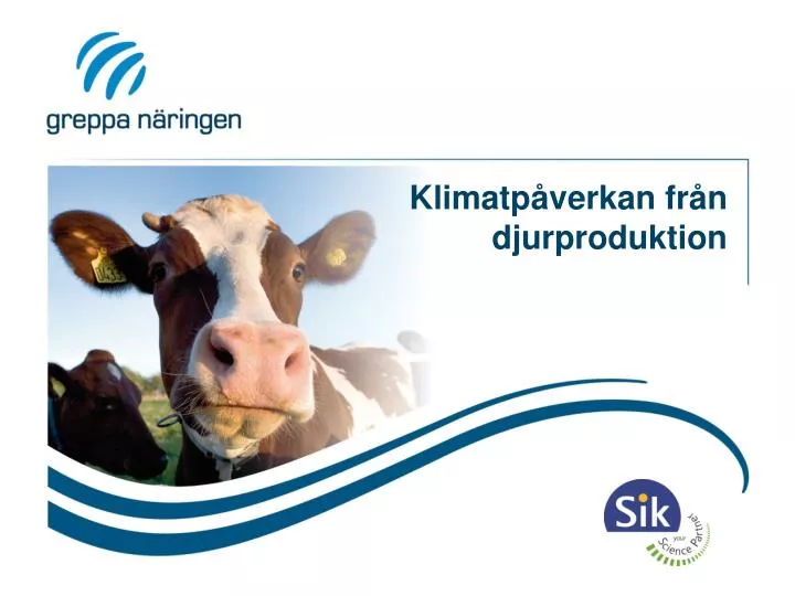 klimatp verkan fr n djurproduktion