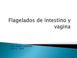 Flagelados de intestino y vagina